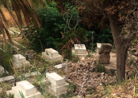 Karin Gulumian's tomb was destroyed before a court order stopped the exhumation (July 11th 2015,